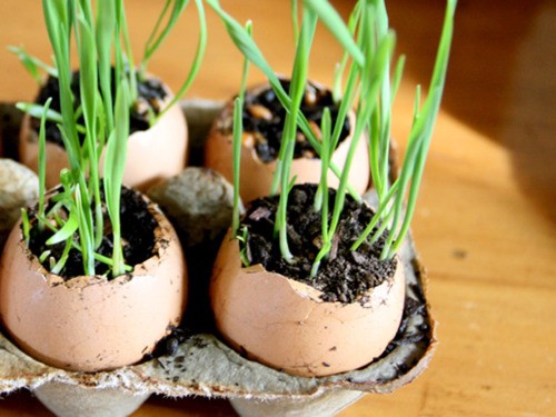 5 Idee per un Giardino in Miniatura