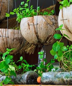 10 Idee Creative per Costruire il Tuo Orto Verticale
