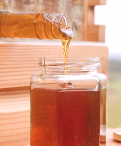 Ecco Flow Hive 2, il Primo “Alveare” con Miele Istantaneo