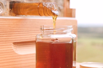 Ecco Flow Hive 2, il Primo “Alveare” con Miele Istantaneo