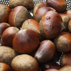 Castagne Bollite