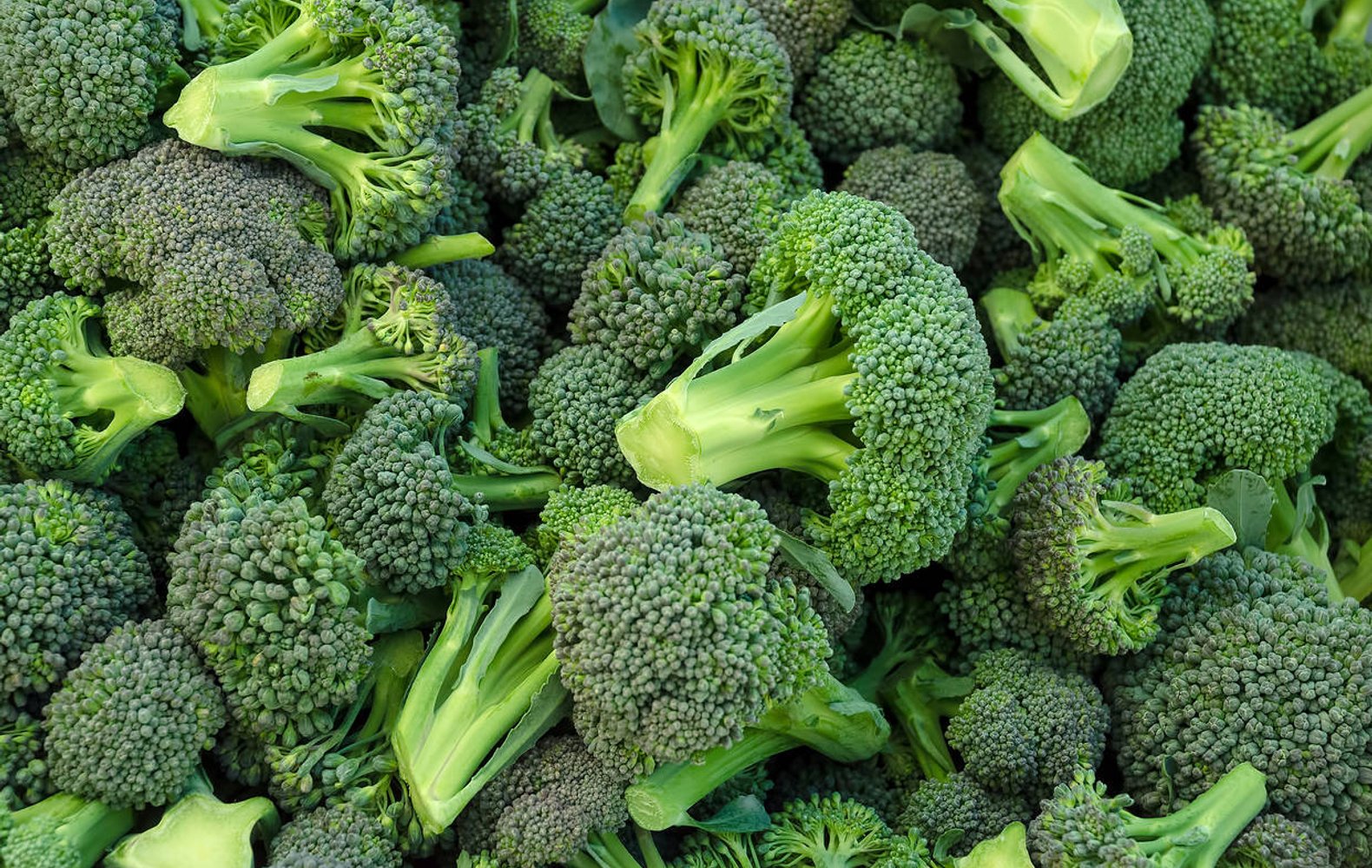 Mangiare Queste Verdure Tutti i Giorni Può Ridurre il Rischio di Tumore al Colon