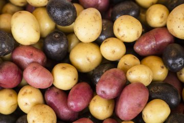 Come Scegliere le Patate Giuste