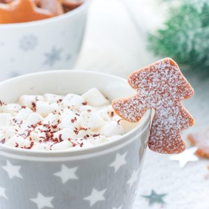 Biscotti Natalizi da Tazza