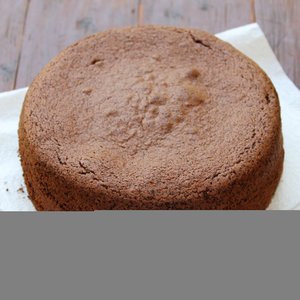 Pan di Spagna al Cioccolato