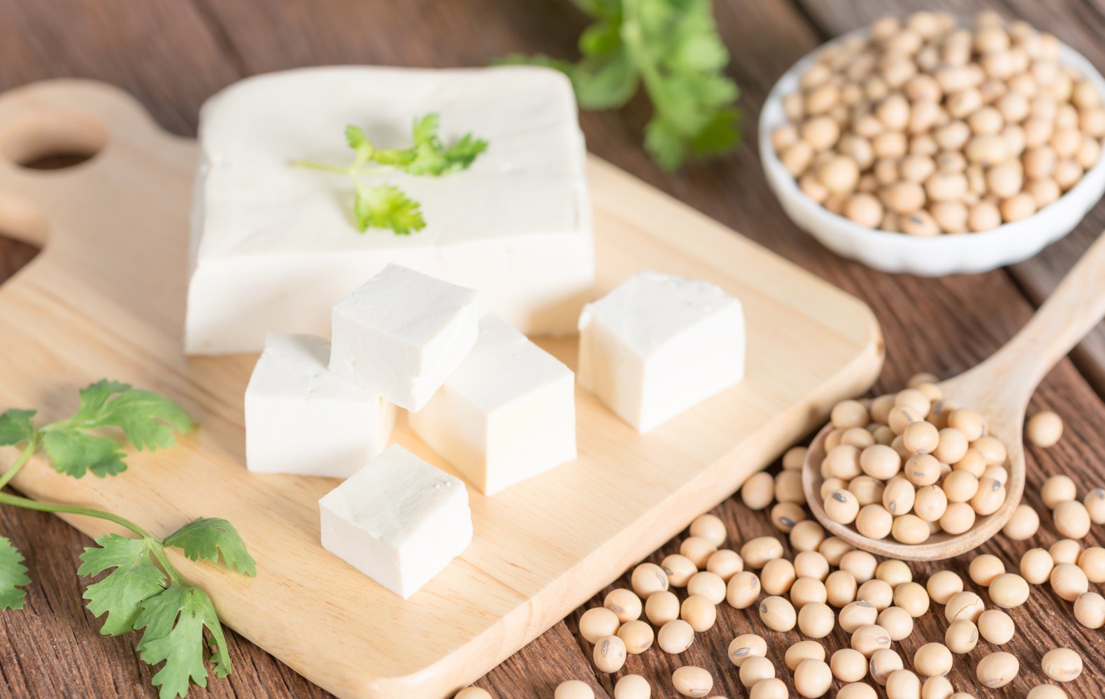 Ricetta Tofu Fatto in Casa, la Ricetta Originale Il Club delle Ricette