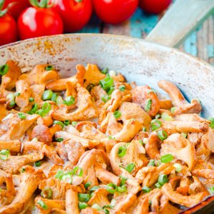Funghi Finferli al Pomodoro