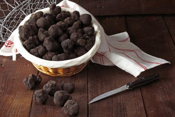 Cos’è il Tartufo, Come Usarlo nelle Ricette e Come Conservarlo
