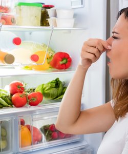 9 Modi Naturali per Eliminare Odori dal Frigorifero