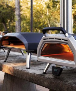 Quale Forno Per Pizza Ooni scegliere?