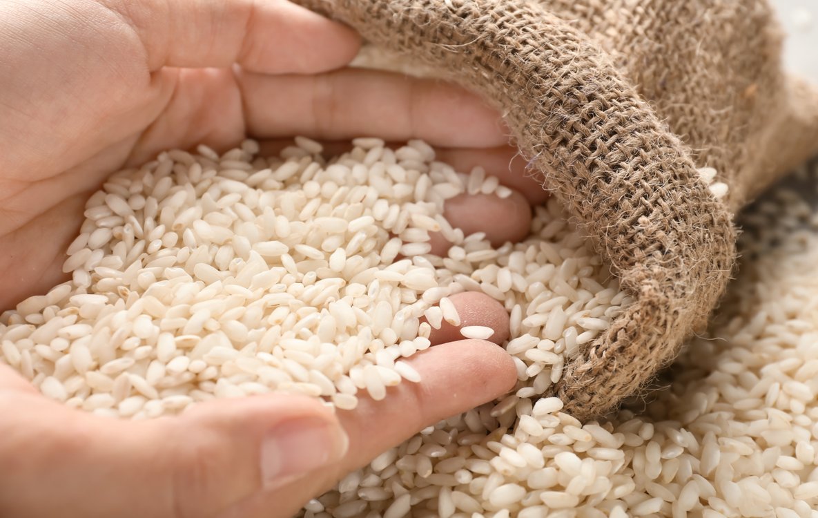 Riso per risotti. Qual è il migliore? Il Club delle Ricette