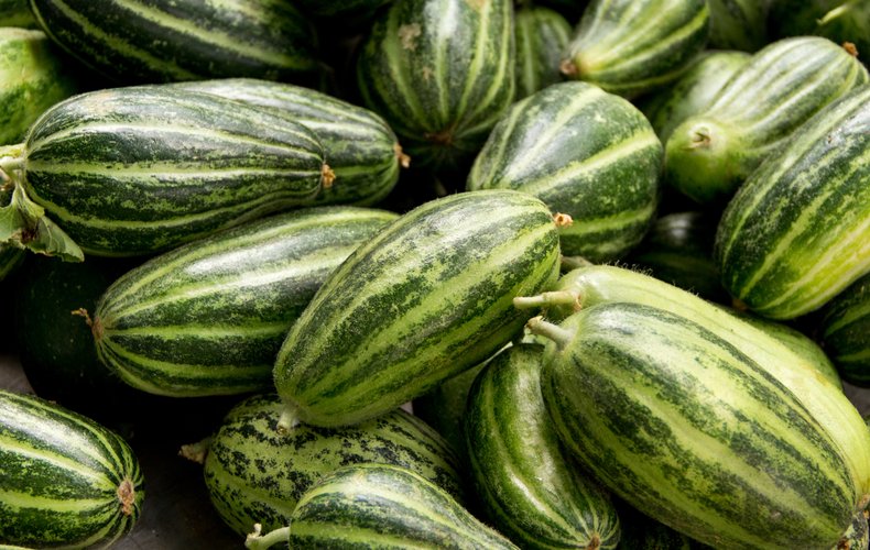 I Caroselli Pugliesi Conquistano gli Stati Uniti: “Meglio dei Cetrioli”