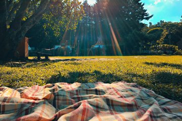Buona Pasquetta 2026: Frasi e Immagini Buongiorno da Inviare su WhatsApp