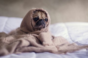 Buongiorno e Buon Giovedì 5 Febbraio 2026 Immagini Nuove e Frasi per WhatsApp