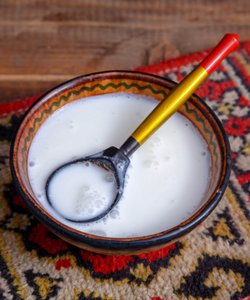 Il Latte di Cammella è davvero il Latte del Futuro?
