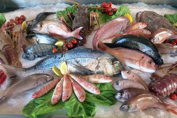 Allerta Mercurio nel Pesce, Ecco le Specie a Rischio che Dovete Assolutamente Evitare