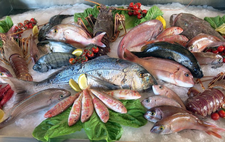 Allerta Mercurio nel Pesce, Ecco le Specie a Rischio che Dovete Assolutamente Evitare