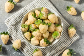 Pineberry: alla Scoperta della Fragola Bianca che sa di Ananas