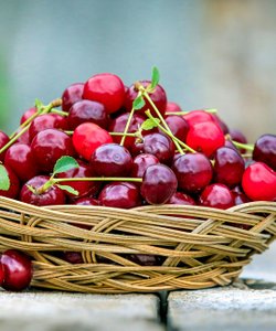 Torna la Sagra delle Ciliegie in uno dei borghi fantasma più belli di Italia: ecco le date e come partecipare