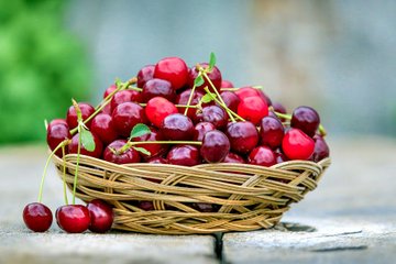 Torna la Sagra delle Ciliegie in uno dei borghi fantasma più belli di Italia: ecco le date e come partecipare
