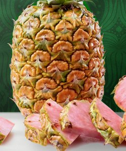 Spopola l’Ananas Rosa, Dolcissimo e Costosissimo