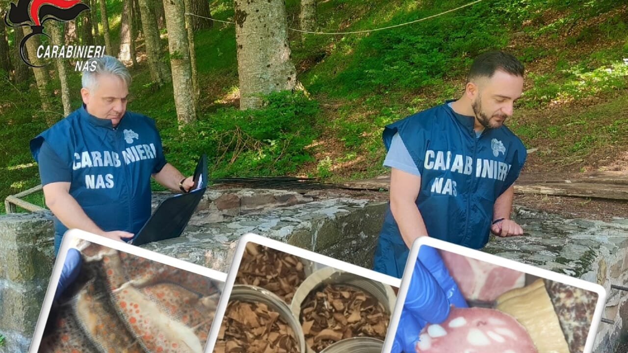 Nas Carabinieri Cibo Sequestrato Rifugi Emilia