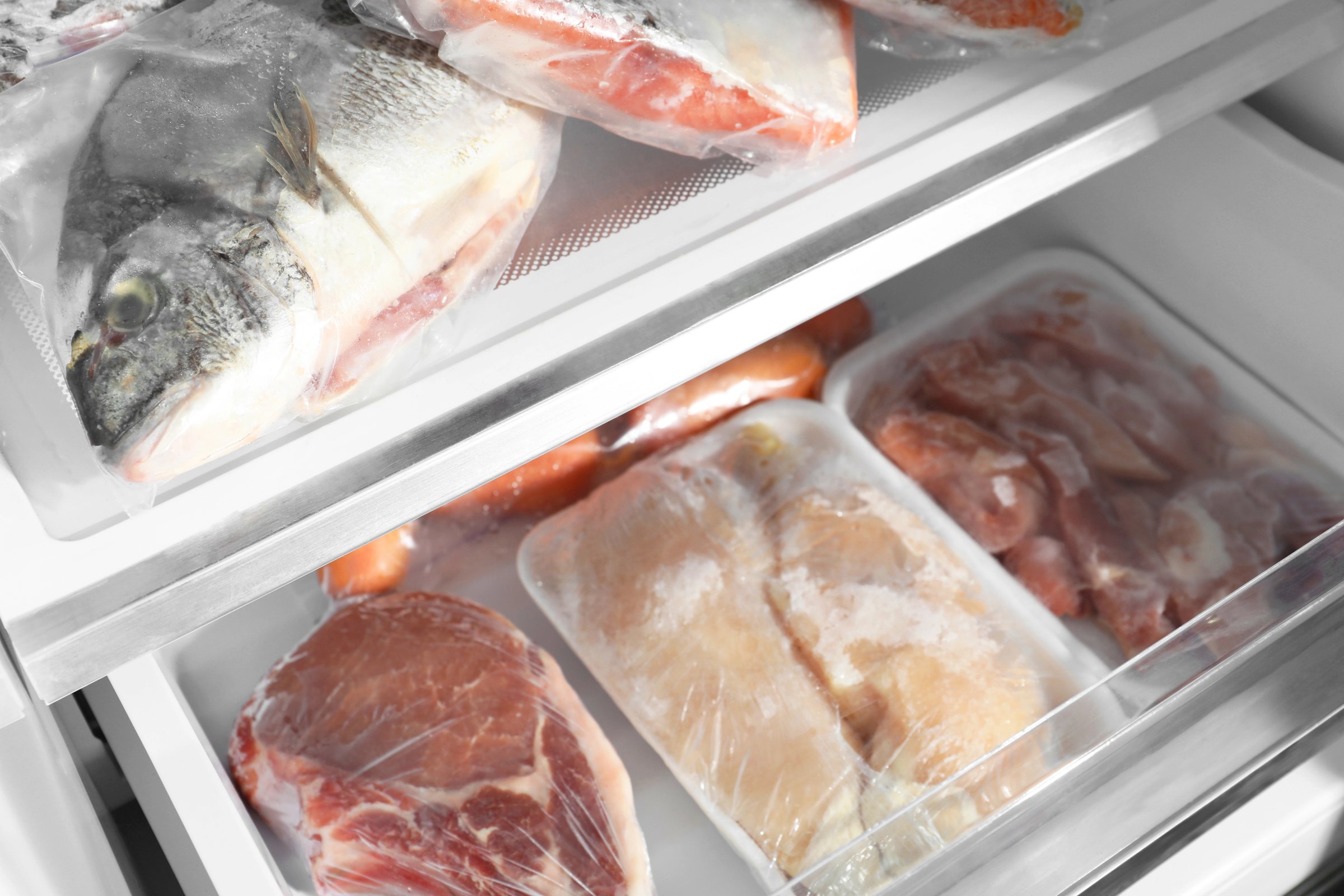 Conservazione Pesce Frigorifero
