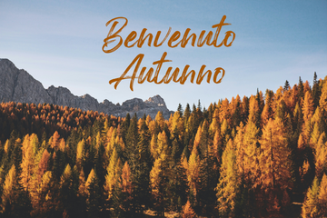 Frasi Buongiorno Autunno 2025, le Immagini per Whatsapp