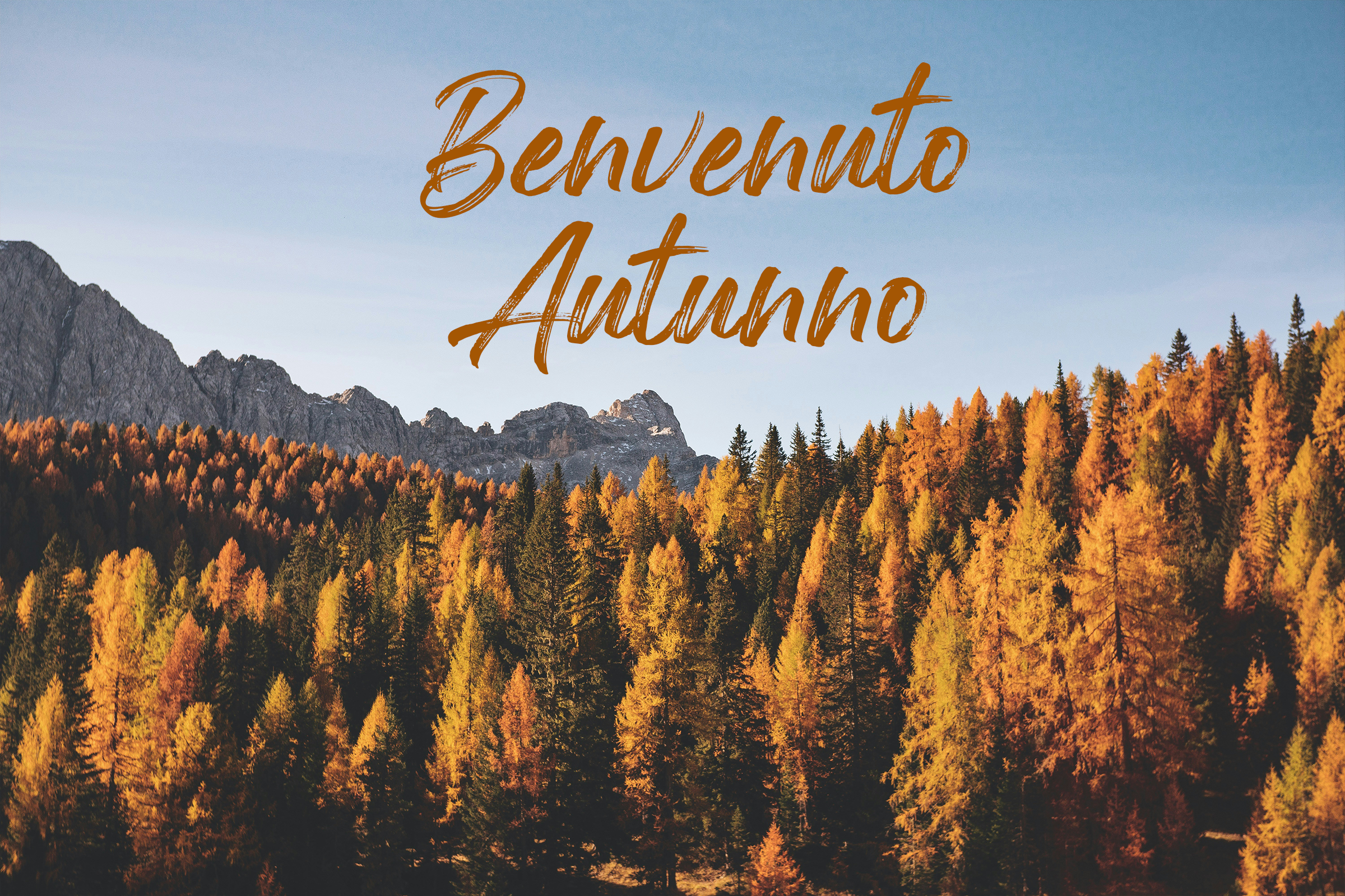 Frasi Buongiorno Autunno 2025, le Immagini per Whatsapp