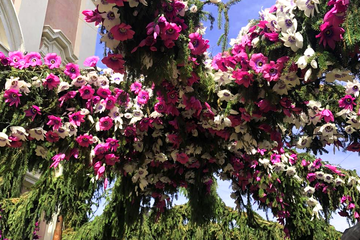 Torna la “Festa dei Fiori”: Ecco Dove e Quando Vivere Questo Incantesimo sul Lago