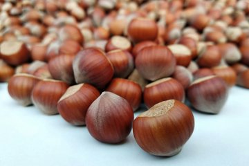 Raccolto Dimezzato e Prezzi Raddoppiati: la Crisi della Nocciola Mette in Allarme l’Industria Dolciaria