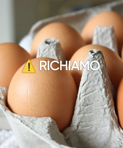 Uova biologiche richiamate per rischio Salmonella, scatta l’allerta sanitaria