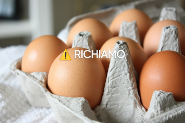 Richiamo di 30 Lotti di Uova per Rischio Microbiologico: Coinvolti Marchi Le Nostranelle e Spinovo