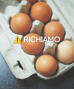 Richiamo di Uova per Salmonella e Altro: Tutte le Allerte in Corso!