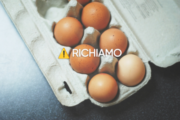 Richiamo di Uova per Salmonella e Altro: Tutte le Allerte in Corso!