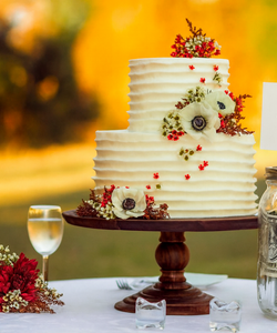 Sposi Chiedono agli Invitati al Matrimonio di Pagarsi Ciascuno la Propria Fetta di Torta: Siamo alla Frutta?