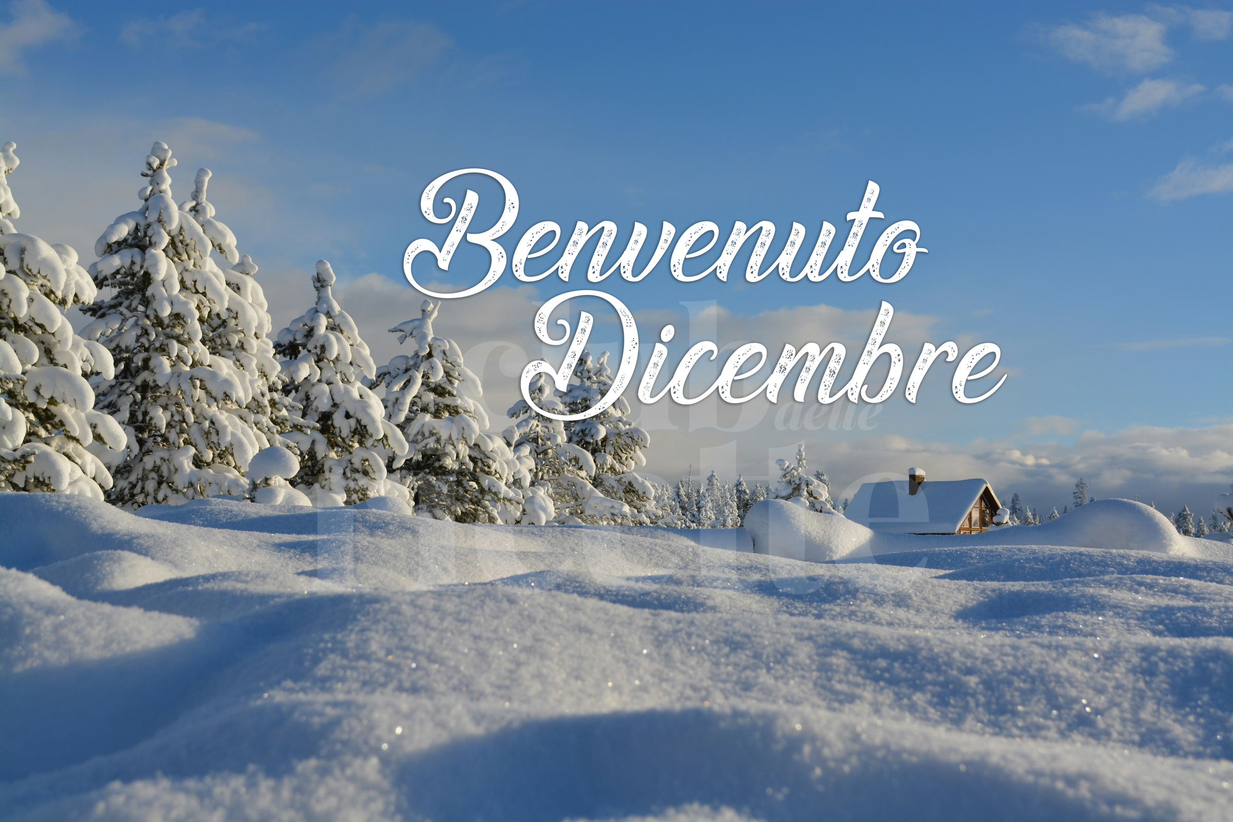 Benvenuto Dicembre Immagini Whatsapp