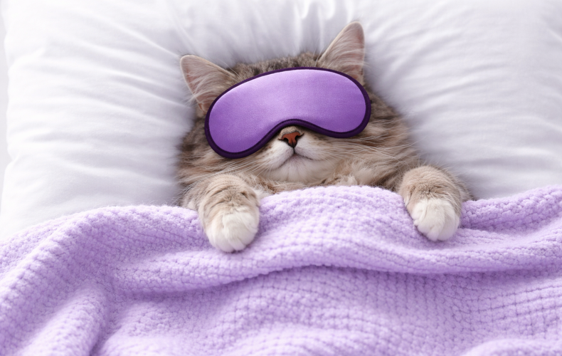 Buonanotte e Buona Serata Mercoledì 14 Gennaio 2026 Immagini Nuove e Frasi per WhatsApp