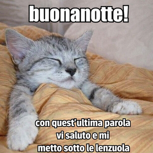 Buonanotte