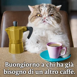 Buongiorno