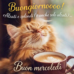 Buongiorno