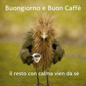 Buongiorno