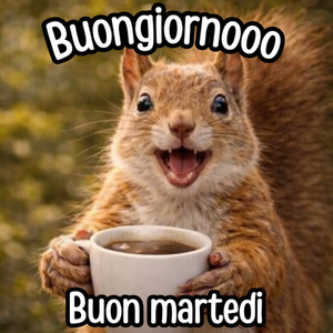 Buongiorno