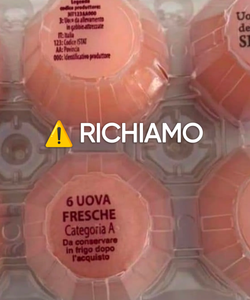 Allerta Salmonella, Ritirate Uova Fresche: Lotti e Marchi Interessati