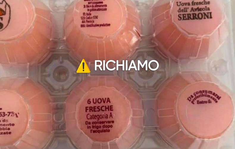 Allerta Salmonella, Ritirate Uova Fresche: Lotti e Marchi Interessati