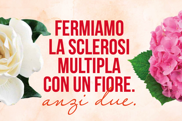 Gardensia 2026: gardenie e ortensie in 5.000 piazze italiane per la sclerosi multipla