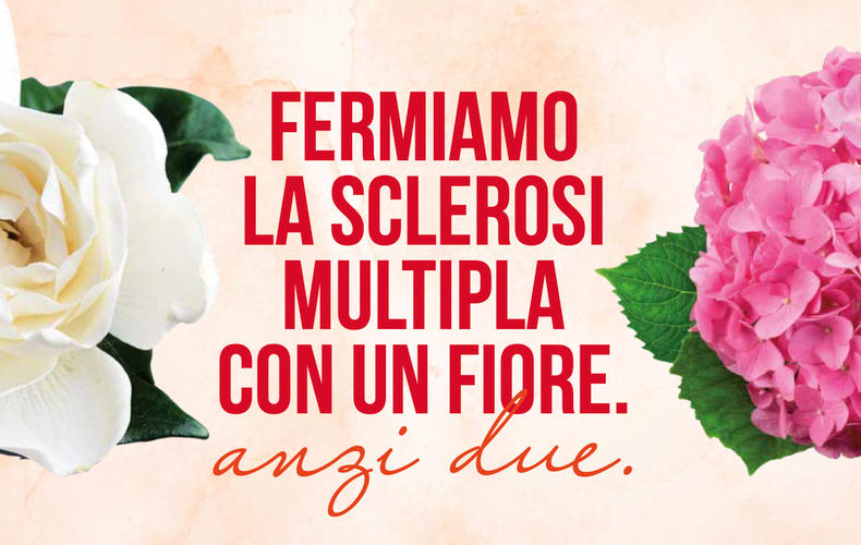 Gardensia 2026: gardenie e ortensie in 5.000 piazze italiane per la sclerosi multipla
