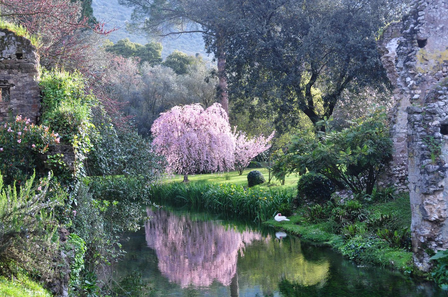Il Giardino di Ninfa Riapre, Ecco Dove e Quando