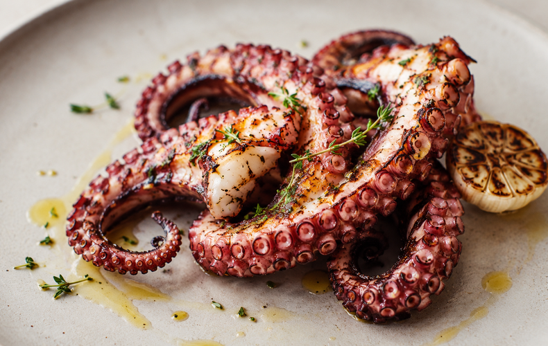 Richiamo tentacoli di polpo: lotto e indicazioni