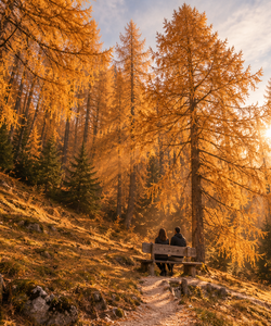 Che Poesia il Sentiero dei Larici, l’itinerario del foliage da fare in Autunno